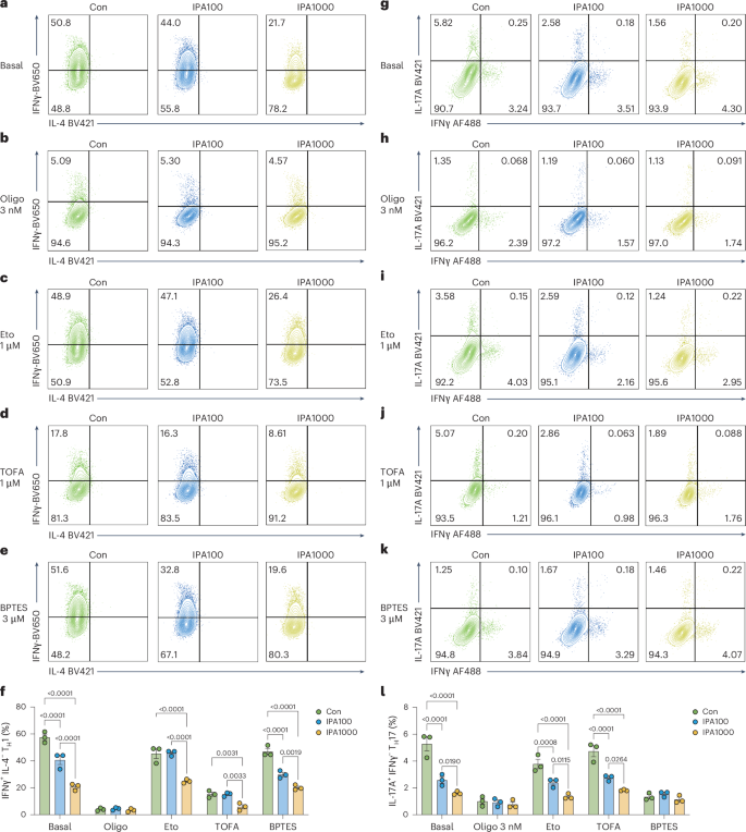 Fig. 5: IPA reprograms mouse CD4+ T cells differentiation through rewiring the energy metabolism.