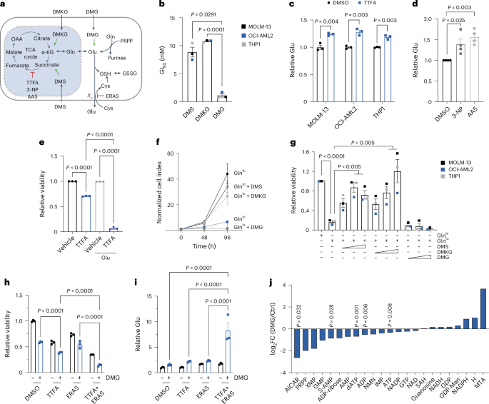 Fig. 5: Glu accumulation upstream of complex II inhibits AML and reduces purine levels.