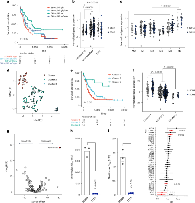 Fig. 7: Complex II genes are overexpressed in high-risk AML resistant to BCL-2 inhibitors.