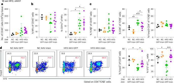 Fig. 2: Irisin inhibits inflammation and enhances the survival of ST2+ Treg cells in eWAT of obese mice.
