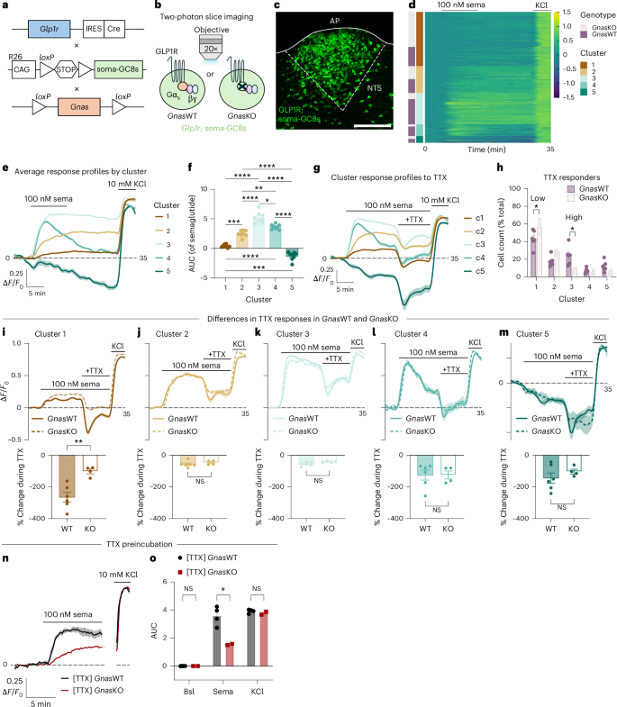 semaglutide increase sex drive Semaglutide drives weight loss through cAMP-dependent mechanisms in  GLP1R-expressing hindbrain neurons