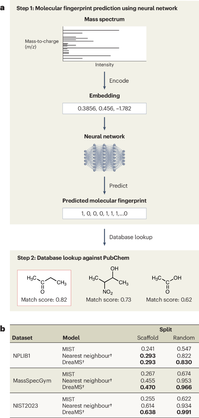 Figure 1: Pipeline for chemical structure elucidation using ML models.