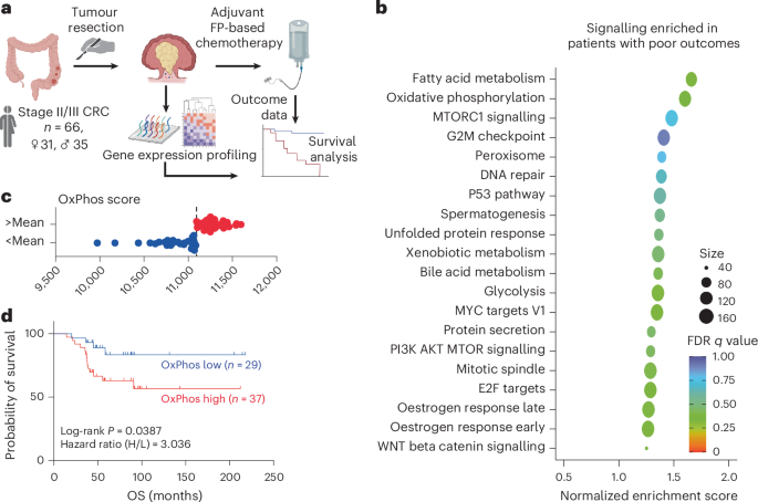 glutathione is it recommended after chemotherapy Glutathione: Lights and Shadows in Cancer Patients Excessive glutathione intake contributes to