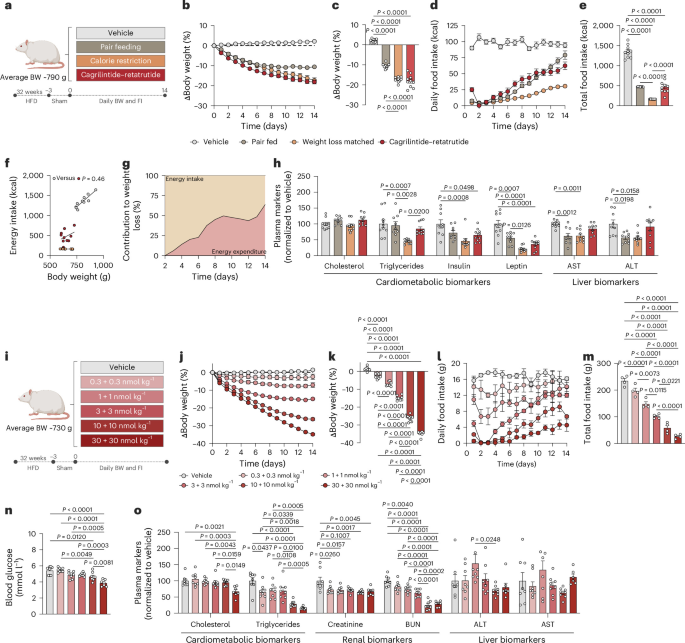 dosing cagrilintide and retatrutide combination therapy enhances weight loss and metabolic outcomes in obese male rats Pack Size:1 Ampoule