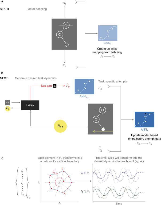 Autonomous Functional Movements In A Tendon Driven Limb Via Limited Experience Nature Machine Intelligence