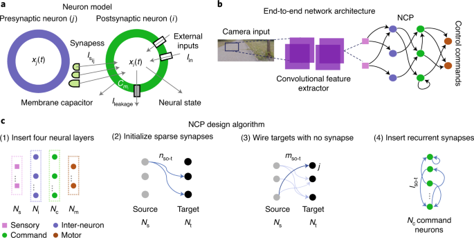 Neural Circuit Policies Enabling Auditable Autonomy Nature Machine Intelligence Neural Circuit Policies Enabling Auditable Autonomy Nature Machine Intelligence