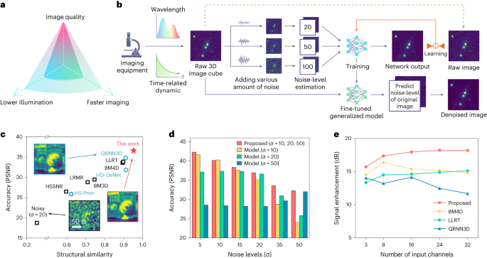 Fig. 1: ML-based 3D image denoising of hyperspectral datasets.