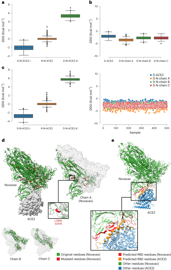 Fig. 4: DDG comparison between randomly and DeepDirect-generated mutations for the Novavax–ACE2 complex.