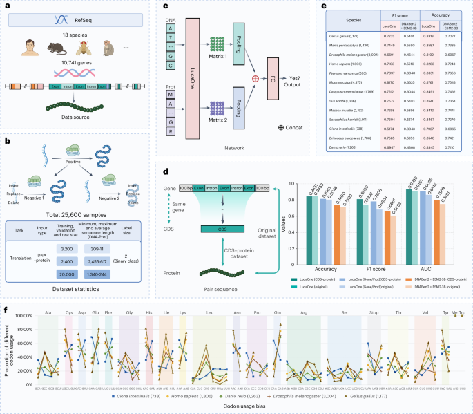 Fig. 3: The workflow of the central dogma of molecular biology task.