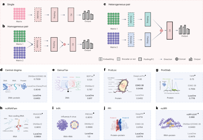 Fig. 4: Downstream task networks with three input types and results comparison of eight verification tasks.