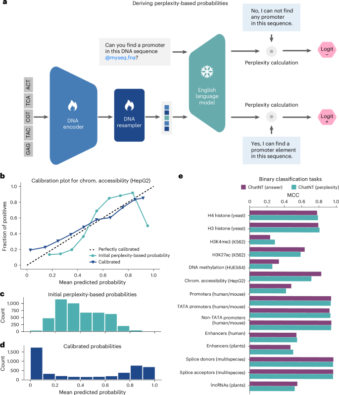 Fig. 5: Perplexity-based method to calibrate the confidence of ChatNT answers while preserving performance.