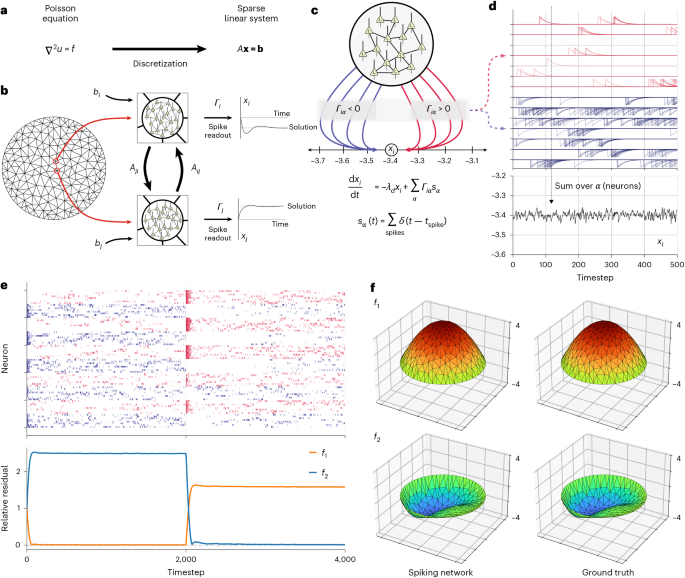 Neyromorfik NeuroFEM algoritmi
