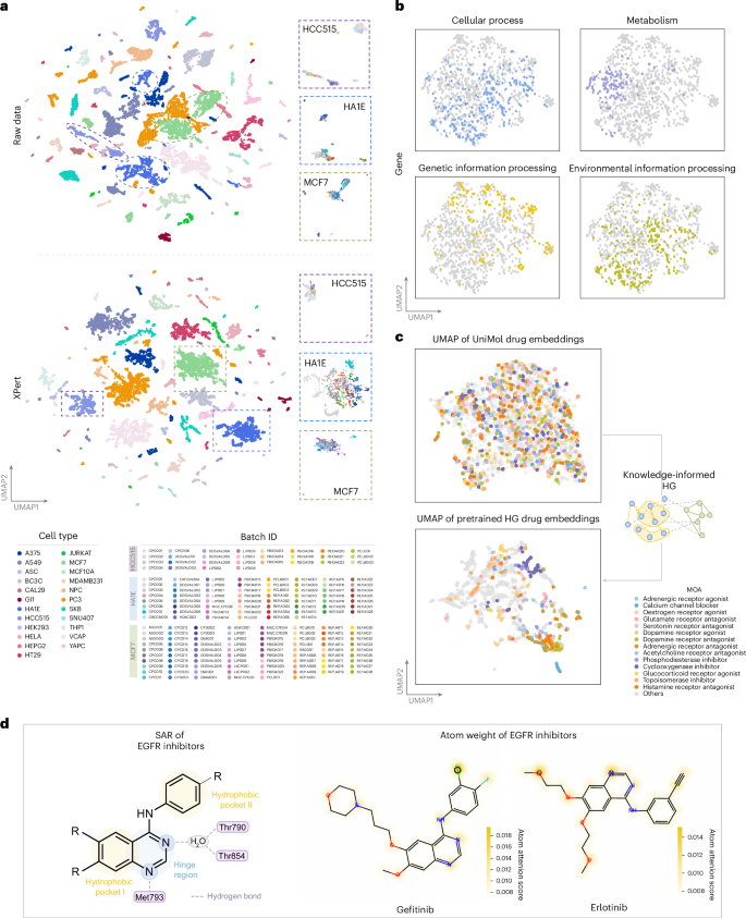 Fig. 3: Biological knowledge interpretation in XPert.