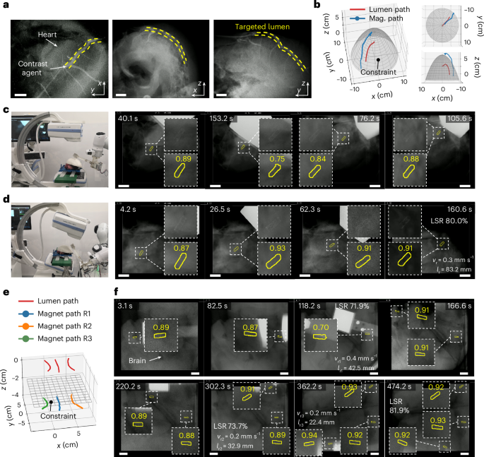 Fig. 5: Robotic navigation in 3D ex vivo tissues and multi-MMD deployment.