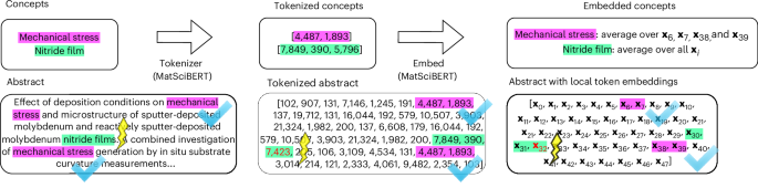 Fig. 4: Example of calculating concept embeddings from an abstract.