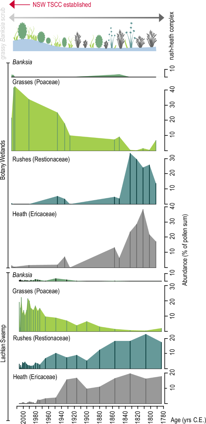 Fig. 2: Plot of selected pollen taxa against time from two sites within the pre-colonial range of Eastern Suburbs Banksia Scrub.