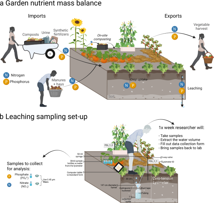 Fig. 1: Main urban agriculture nutrient flows and leachate measurements.