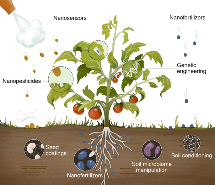 Technology readiness and overcoming barriers to sustainably implement  nanotechnology-enabled plant agriculture | Nature Food