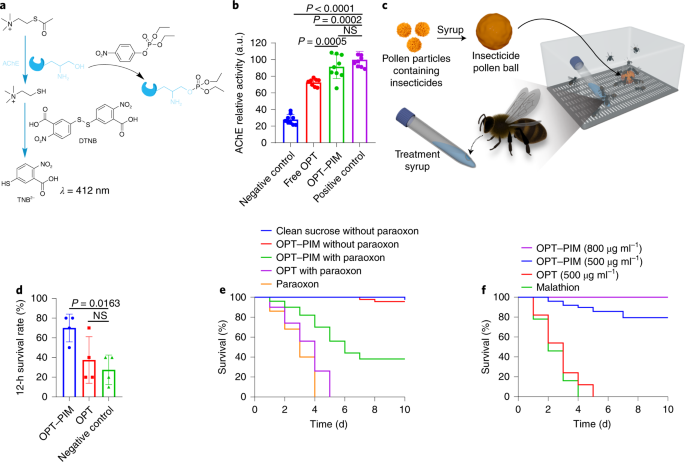 Pollen Inspired Enzymatic Microparticles To Reduce Organophosphate Toxicity In Managed Pollinators Nature Food