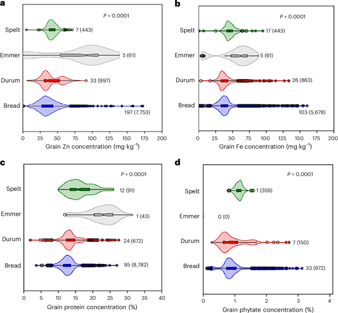 Fig. 1: Variations in grain Zn, Fe, protein and phytate concentrations among different species of cultivated wheat on a dry weight basis.