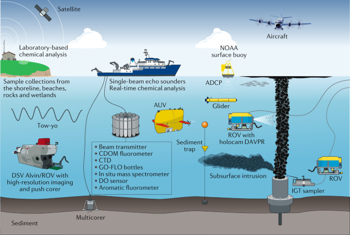 The first decade of scientific insights from the Deepwater Horizon oil release | Nature Reviews Earth & Environment