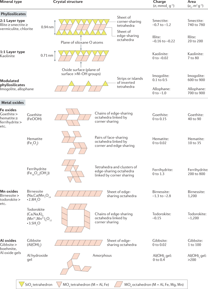 Dynamic Interactions At The Mineral Organic Matter Interface Nature Reviews Earth Environment