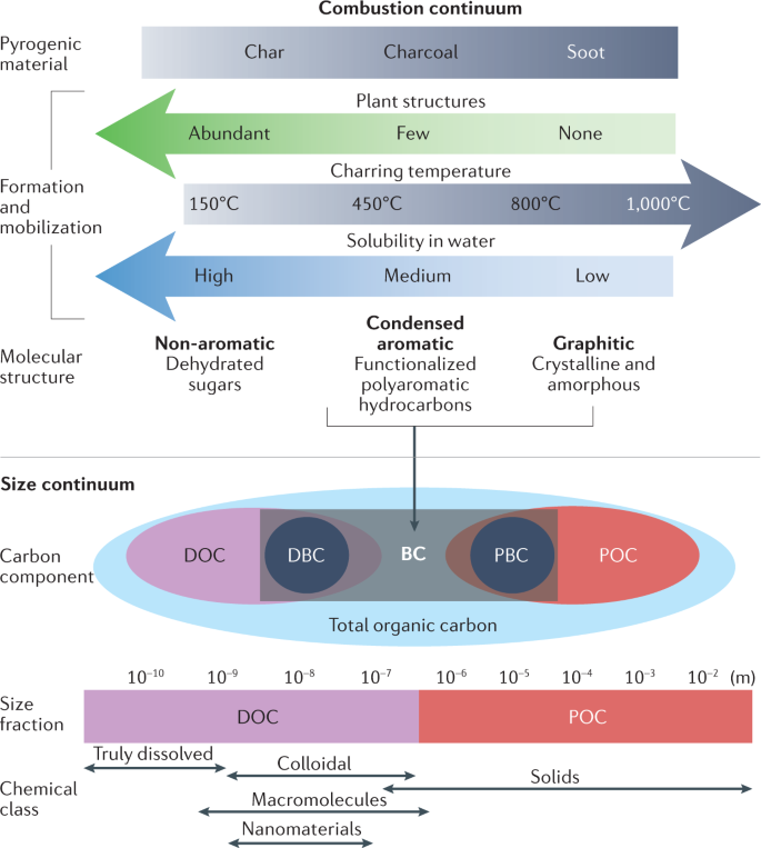 The black carbon cycle and its role in the Earth system | Nature