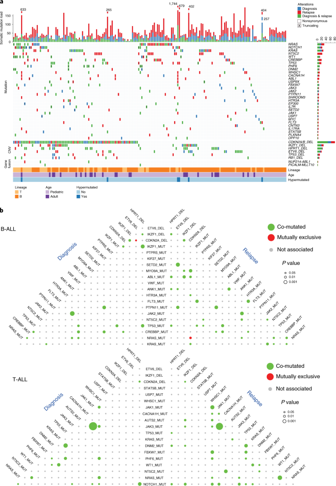 Mutational And Functional Genetics Mapping Of Chemotherapy Resistance Mechanisms In Relapsed Acute Lymphoblastic Leukemia Nature Cancer Mutational And Functional Genetics Mapping Of Chemotherapy Resistance Mechanisms In Relapsed Acute Lymphoblastic Leukemia Nature Cancer