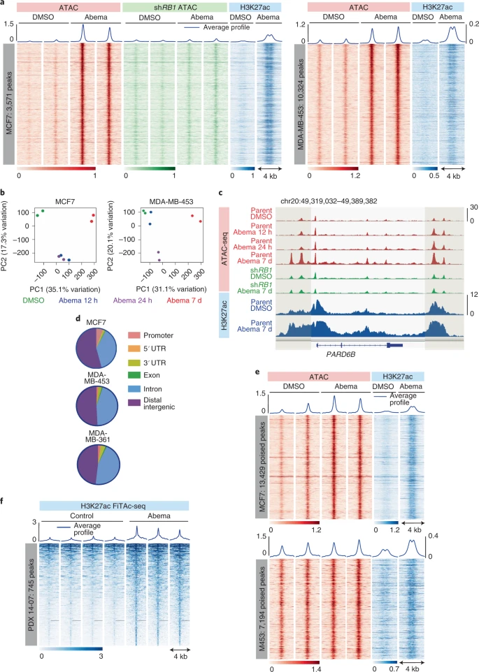 CDK4/6 inhibition reprograms the breast cancer enhancer landscape by stimulating AP-1 transcriptional activity