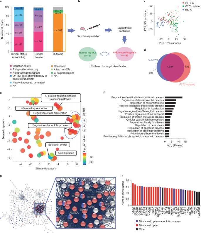 Combined inhibition of XIAP and BCL2 drives maximal therapeutic efficacy in  genetically diverse aggressive acute myeloid leukemia | Nature Cancer