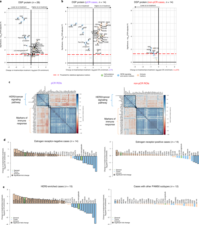 Spatial Proteomic Characterization Of Her2 Positive Breast Tumors Through Neoadjuvant Therapy Predicts Response Nature Cancer Spatial Proteomic Characterization Of Her2 Positive Breast Tumors Through Neoadjuvant Therapy Predicts Response Nature Cancer