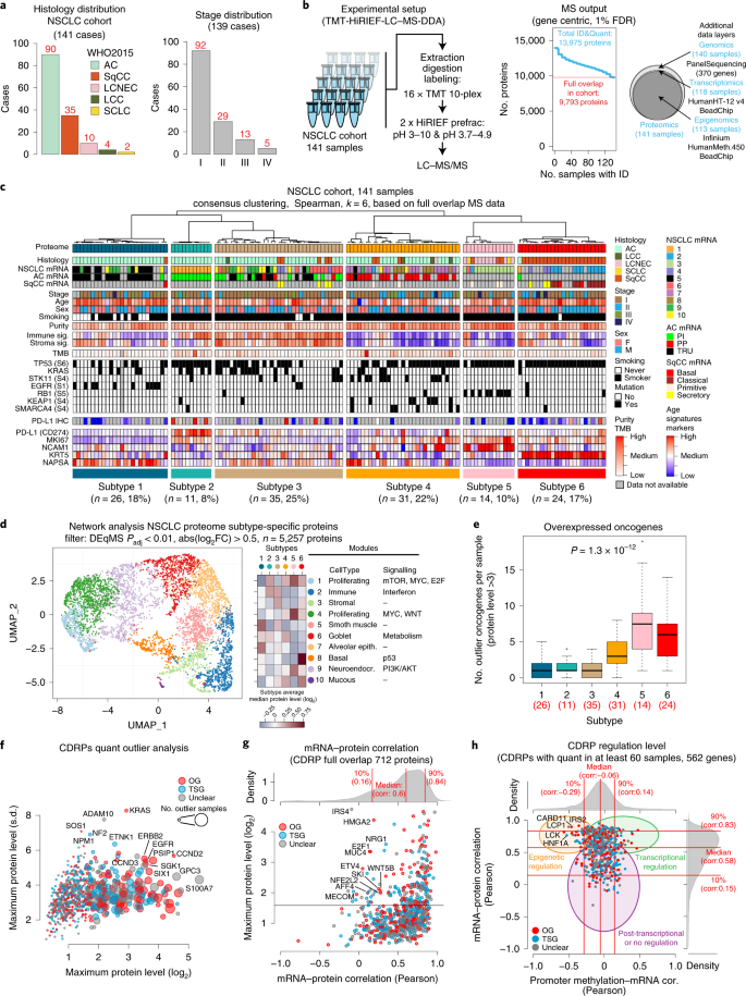 Proteogenomics of non-small cell lung cancer reveals molecular subtypes  associated with specific therapeutic targets and immune-evasion mechanisms  | Nature Cancer