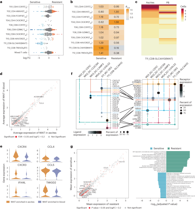 Fig. 8: MAIT cells in ascites predict the chemotherapy efficacy of patients with HGSOC.