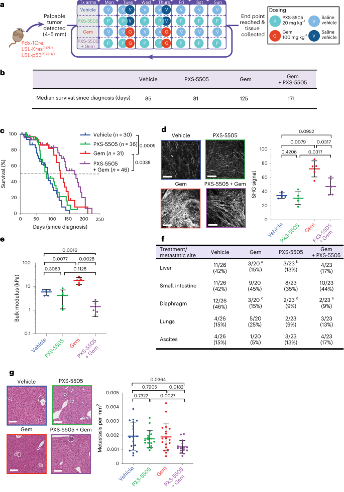 A first-in-class pan-lysyl oxidase inhibitor impairs stromal remodeling and enhances gemcitabine response and survival in pancreatic cancer | Nature Cancer a-first-in-class-pan-lysyl-oxidase-inhibitor-impairs-stromal-remodeling-and-enhances-gemcitabine-response-and-survival-in-pancreatic-cancer-nature-cancer
