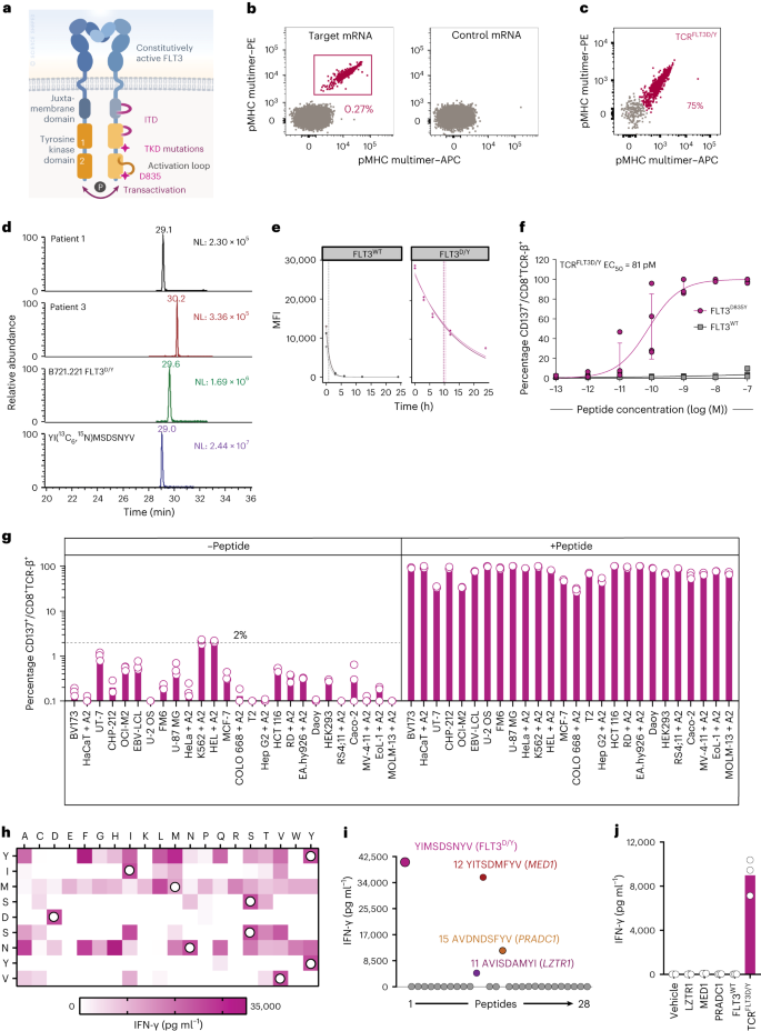 変異したがん細胞を排除する免疫療法が有望な効果を示す(Immunotherapy that eliminates mutated cancer cells shows promising effect)