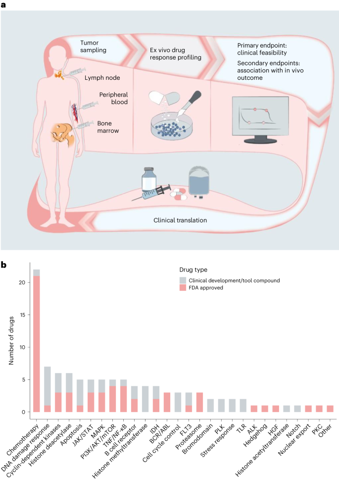Fig. 1: Overview of study design and drug selection.