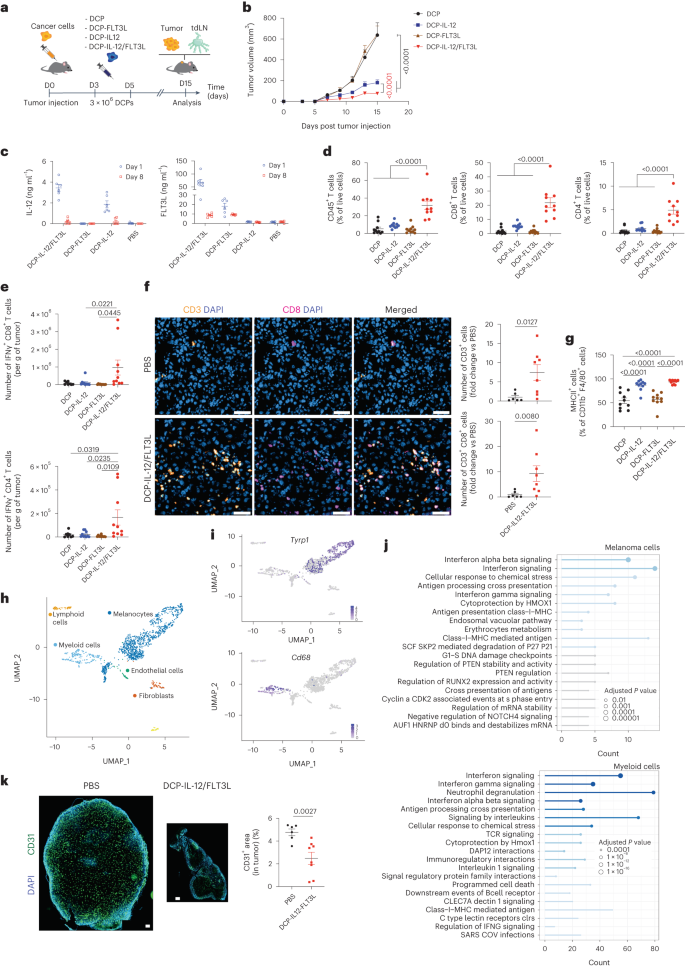 Fig. 2: Cytokine-armed DCPs activate immunity and inhibit melanoma growth.