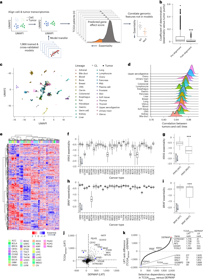 Fig. 2: Building a translational dependency map: TCGADEPMAP.