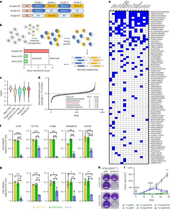 Fig. 4: Using TCGADEPMAP to translate synthetic lethalities in human cancer.