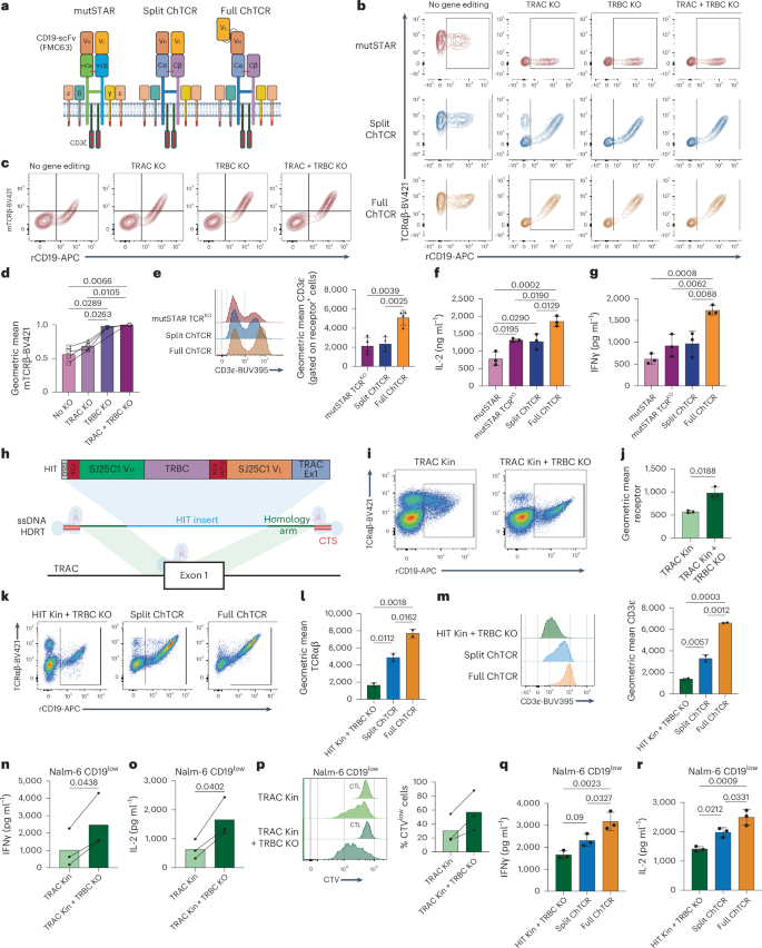 Fig. 3: Endogenous TCR KO improves the expression and antigen sensitivity of HLA-independent receptors.