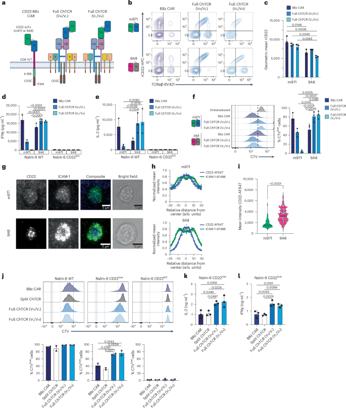 Fig. 4: Design of a sensitive CD22-specific full ChTCR.