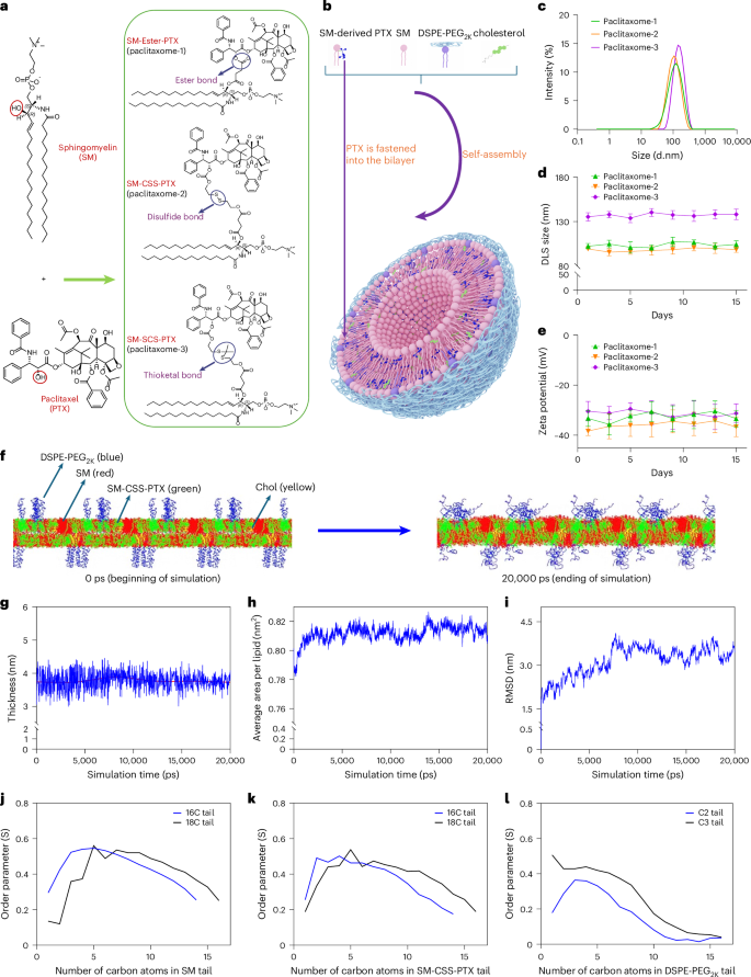Fig. 1: SM-derived PTX self-assembled into paclitaxome.