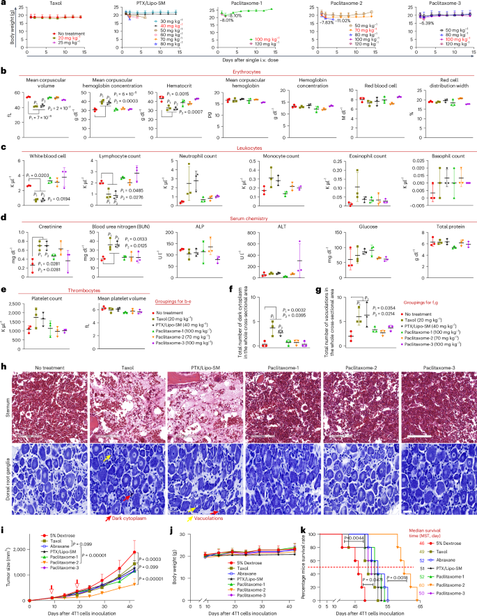 Fig. 2: Paclitaxome-2 bolstered the maximum tolerated dose, reduced adverse effects and outperformed Taxol and Abraxane on therapeutic efficacy in an orthotopic 4T1 TNBC model.