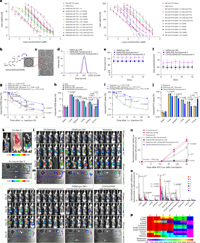 Fig. 7: GEM/AZE–paclitaxome-2 synergistically boosted the antitumor efficacy in advanced KPC-Luc pancreas cancer mouse model with metastasis.