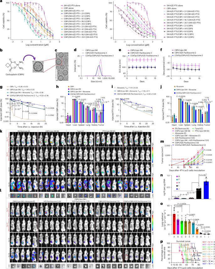 Fig. 8: CBPt/AZE–paclitaxome-2 significantly reduced tumor growth in a postsurgical tumor relapse 4T1-Luc2 TNBC model.