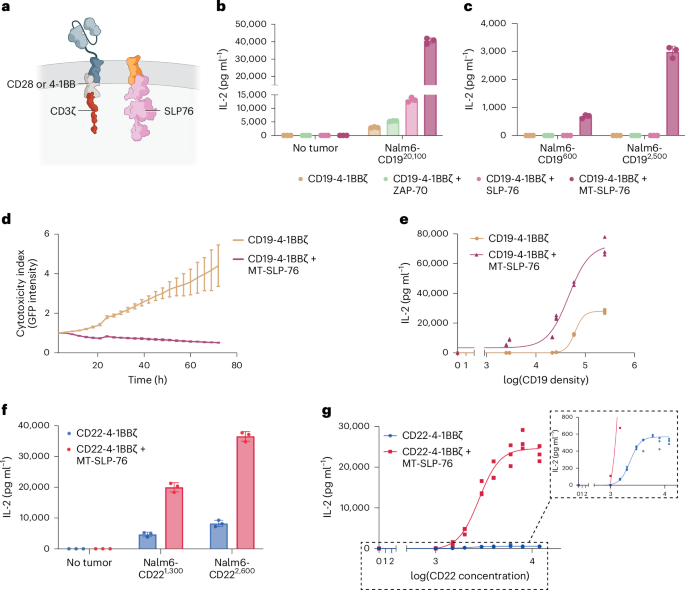 Fig. 2: Tethering SLP-76 to the membrane lowers CAR T cell activation threshold.