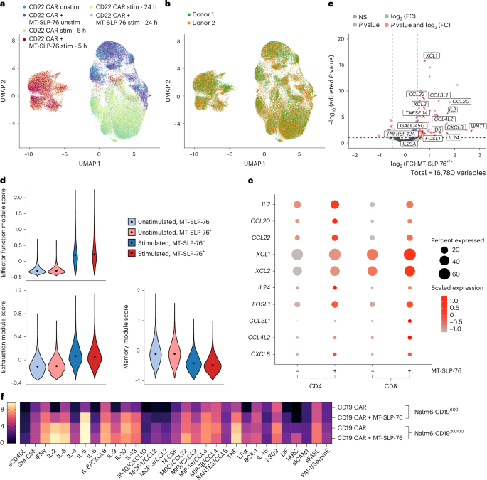 Fig. 5: MT-SLP-76 enhances cytokine/chemokine responses.