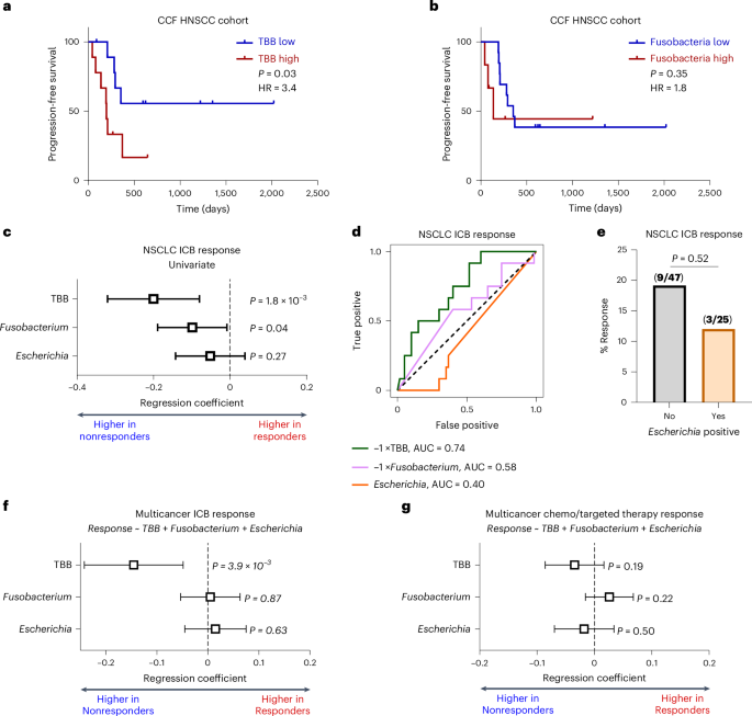 Fig. 2: Validation of TBB as a biomarker for ICB response.