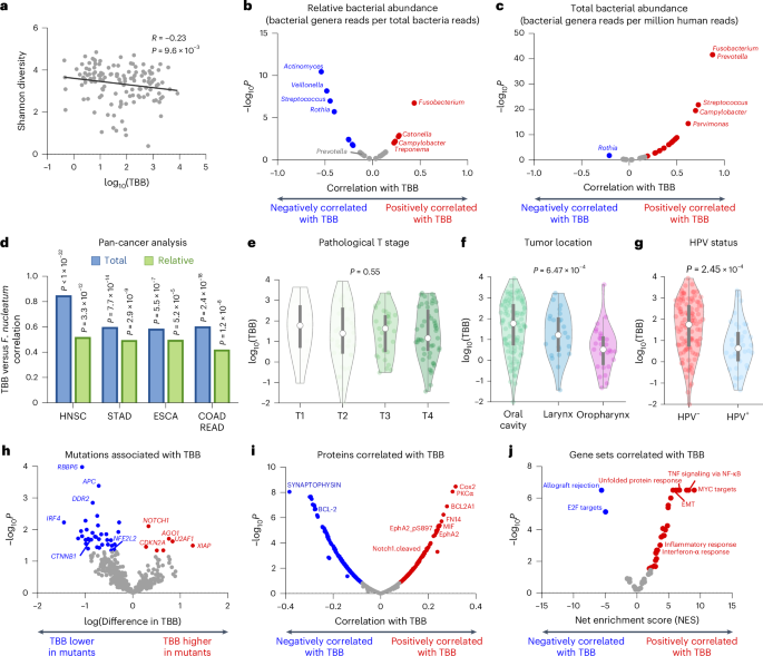 Fig. 3: Microbial, clinical and molecular correlates of intratumoral bacteria burden.