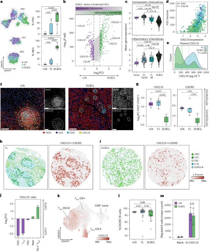 Fig. 2: Dysregulation of chemokine networks in FRCs is linked to a diffuse growth pattern in lymphoma.